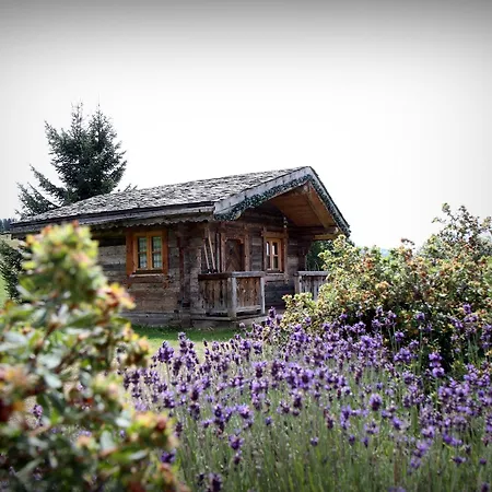 Le Manoir Des Montagnes מלון